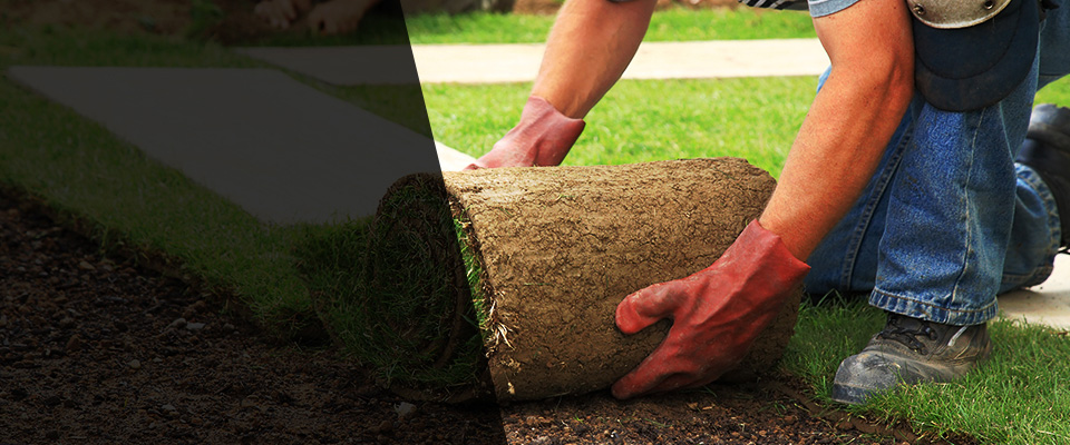 New Brighton Landscapers